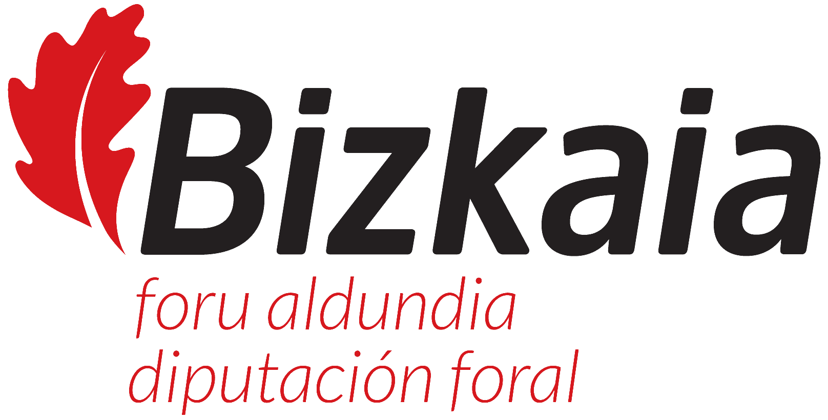 Diputación Foral Bizkaia - Horiz. General