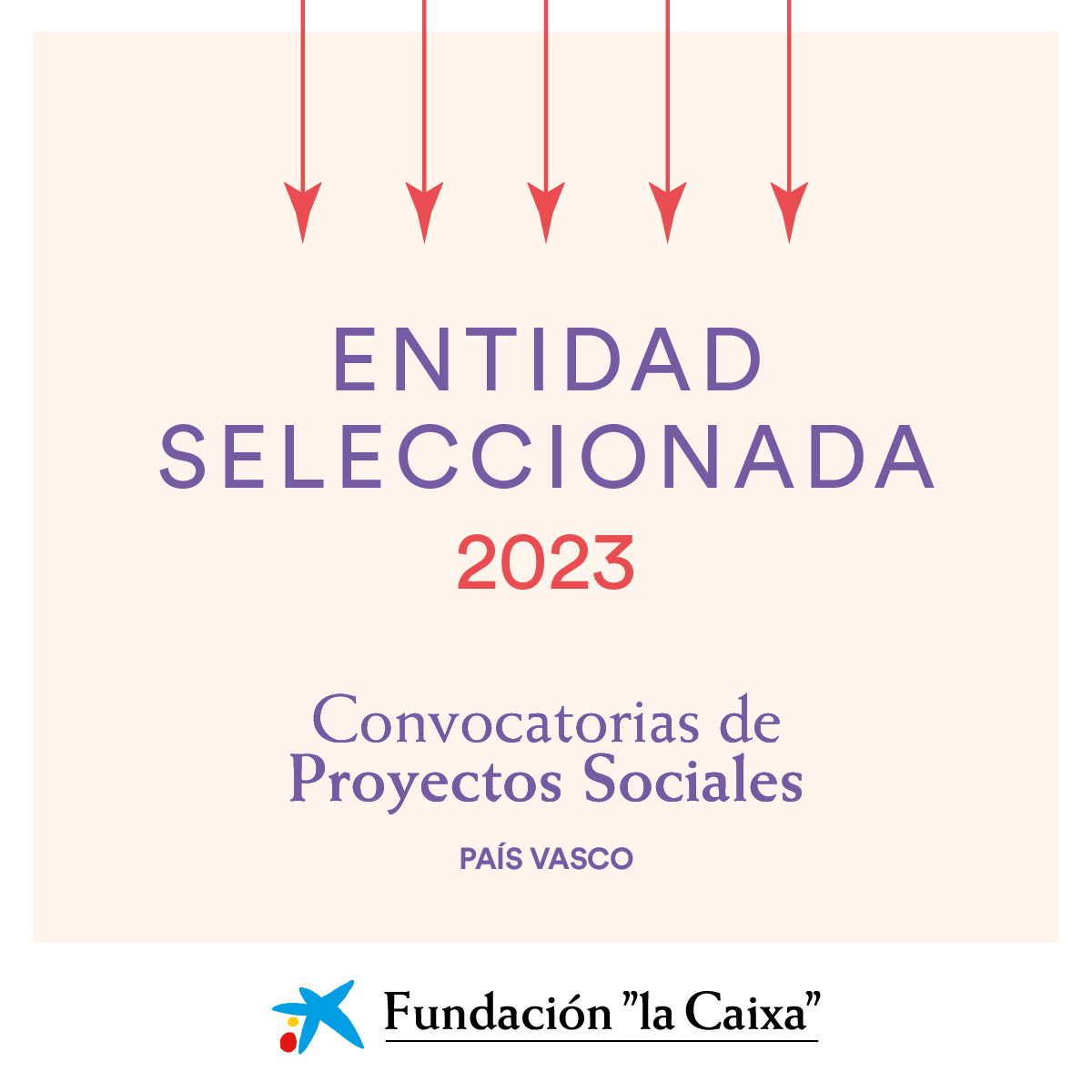 GIZAKIA - RECONOCIMIENTO LA CAIXA. ENTIDAD SELECCIONADA